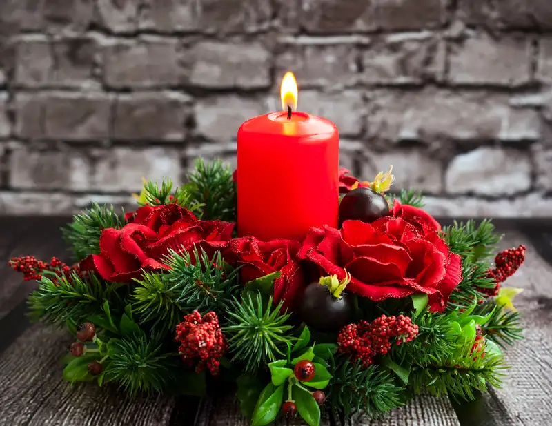 Hoa tặng Giáng Sinh an lành biểu tượng của hạnh phúc Hoa tặng Giáng Sinh an lành biểu tượng của hạnh phúc