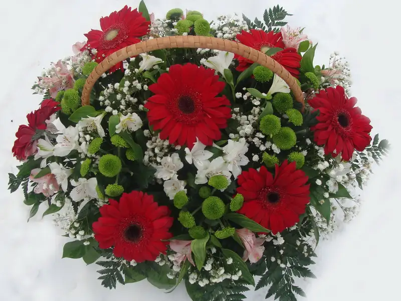 Ảnh hoa tặng tân gia nhẹ nhàng, tạo điểm nhấn hoàn hảo Ảnh hoa tặng tân gia nhẹ nhàng, tạo điểm nhấn hoàn hảo
