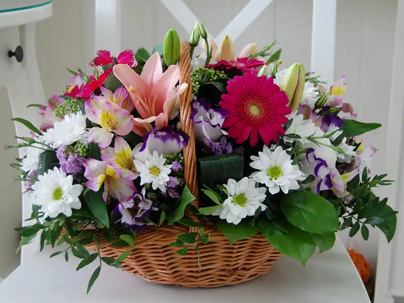 Hoa tặng tân gia làm điểm nhấn hoàn hảo cho ngôi nhà Hoa tặng tân gia làm điểm nhấn hoàn hảo cho ngôi nhà