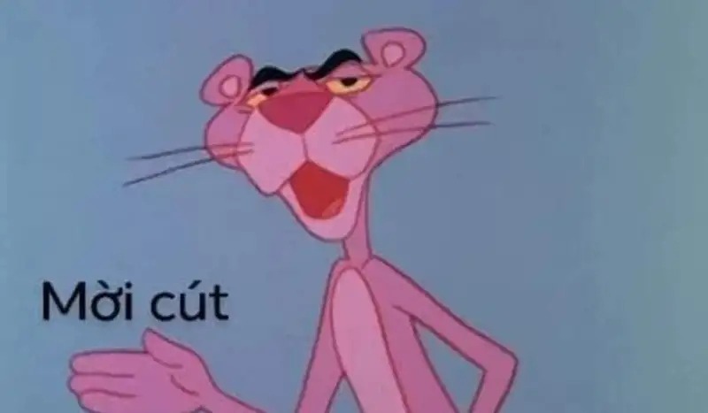 Meme cút ngộ nghĩnh đáng nhớ