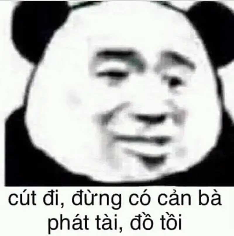 Meme cút hài hước và sáng tạo