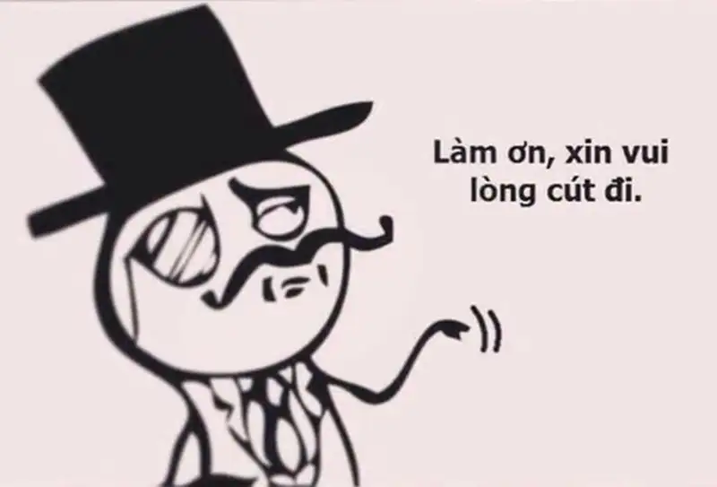 Meme cút biểu cảm ngộ nghĩnh