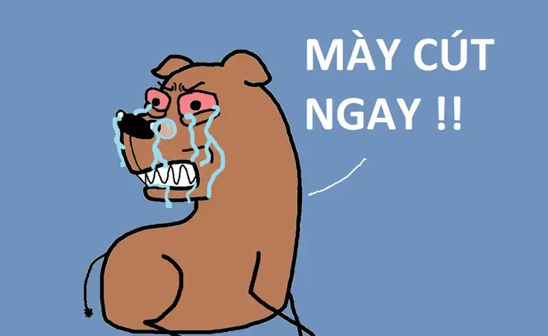 Meme cút khiến fan yêu thích