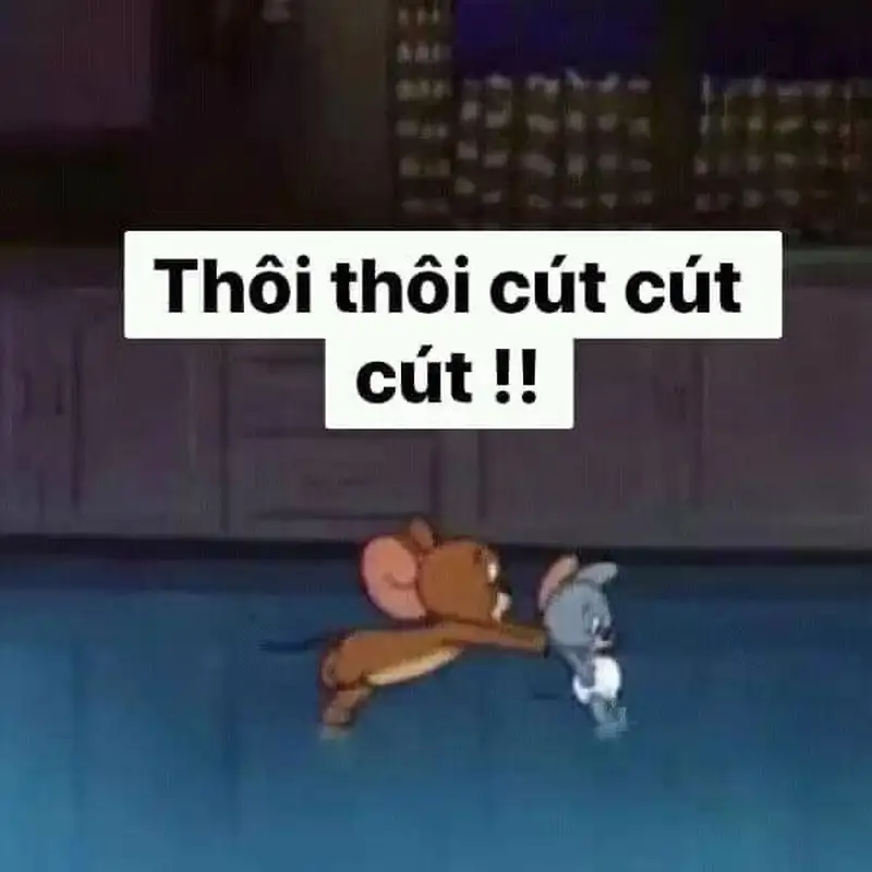 Meme cút mang lại tiếng cười