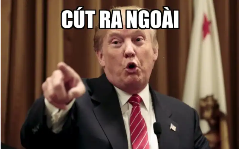 Meme cút thú vị và vui nhộn