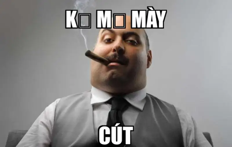 Meme cút hài hước đầy bất ngờ