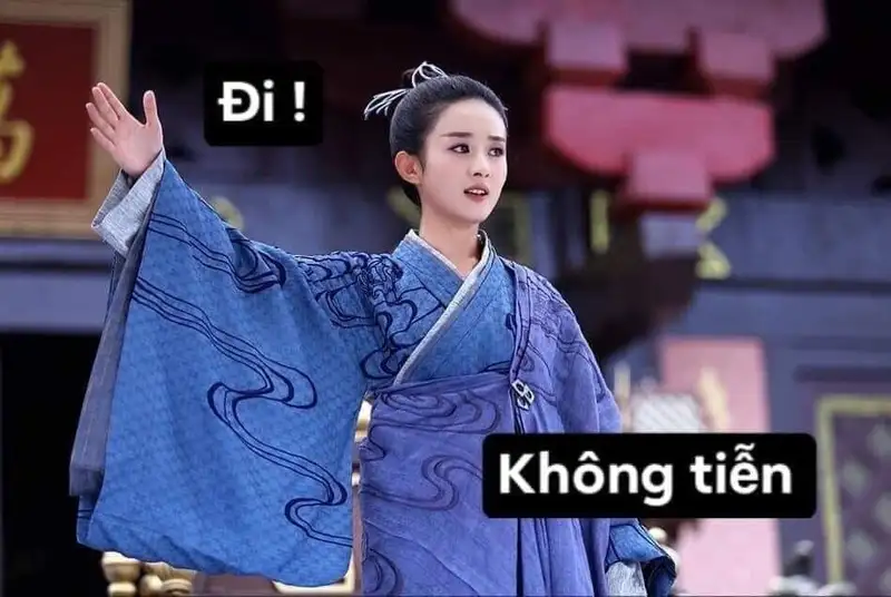 Meme cút làm người xem cười lớn