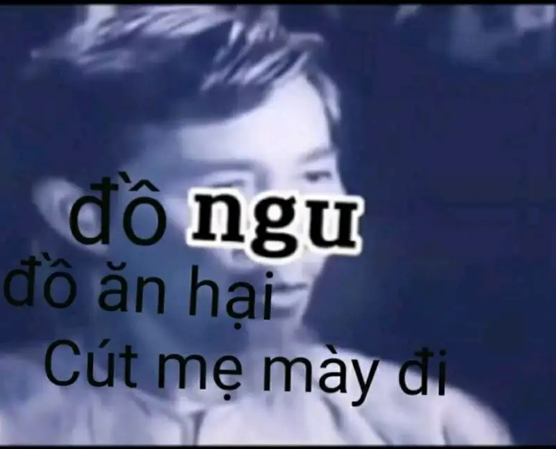 Meme cút thú vị gây chú ý