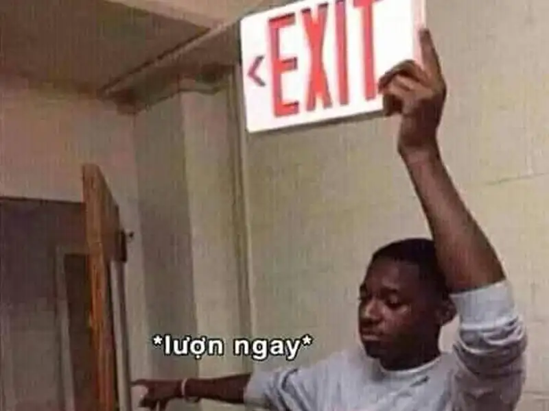 Meme cút hài hước và độc đáo