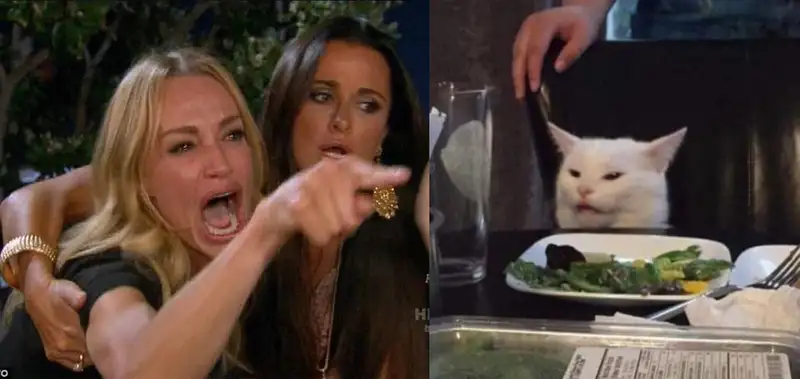 Meme cút lan truyền tiếng cười vui vẻ