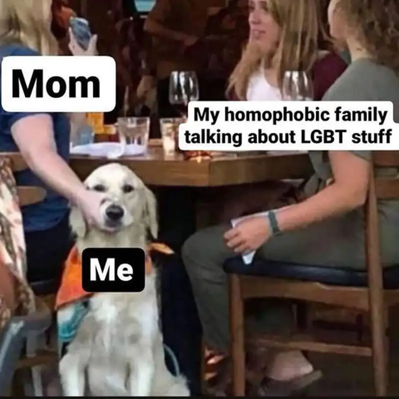 Meme LGBT ngộ nghĩnh đầy màu sắc