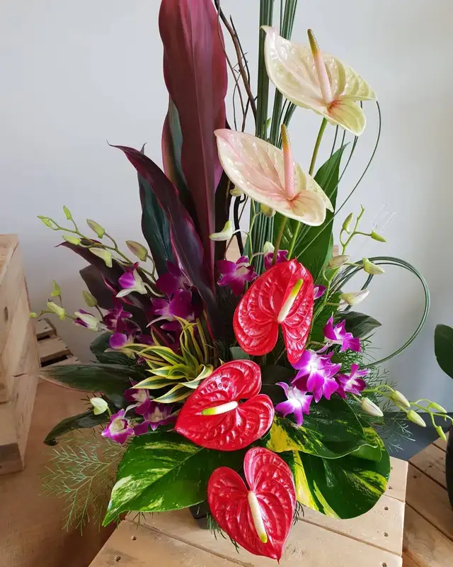 Ảnh hoa tặng đại hội với thiết kế trang nhã Ảnh hoa tặng đại hội với thiết kế trang nhã