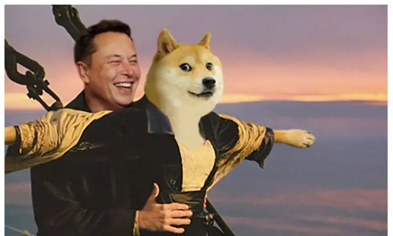 Doge meme hài hước