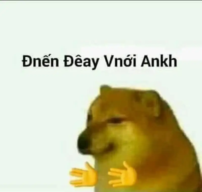 Doge meme biểu cảm độc đáo