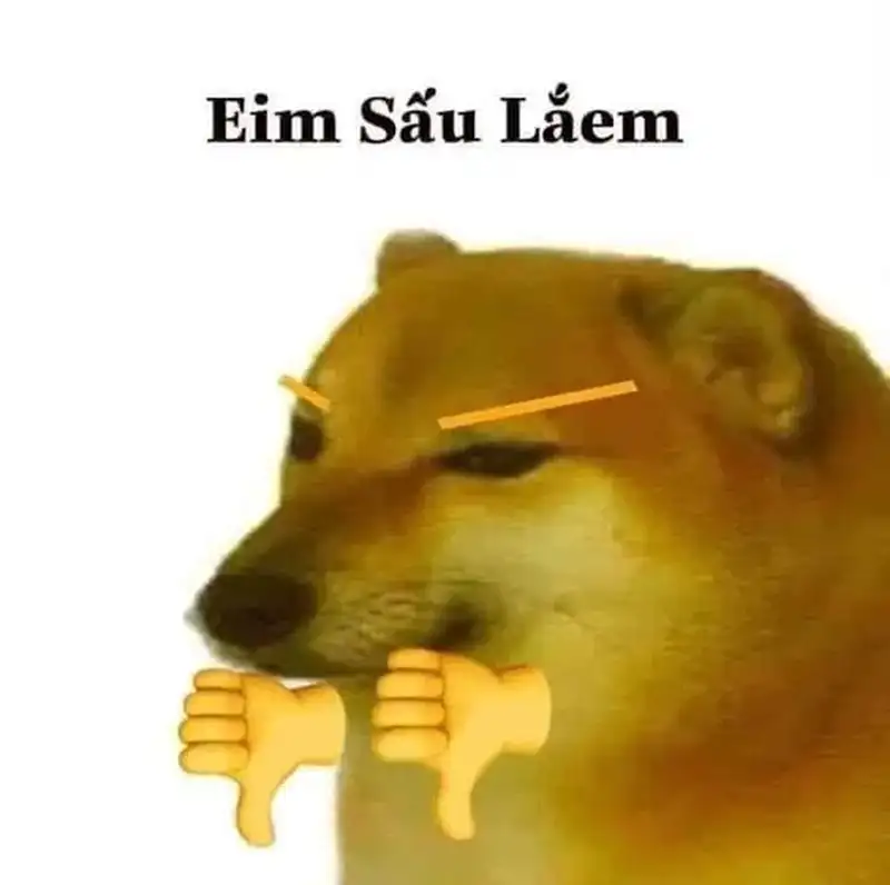 Doge meme lan tỏa niềm vui