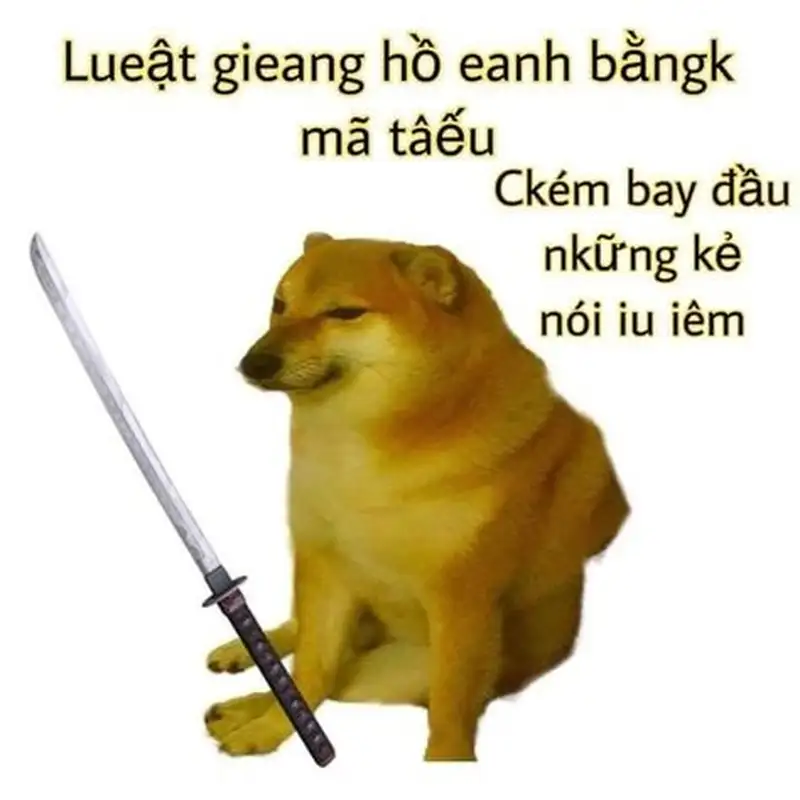 Doge meme biểu cảm tinh nghịch