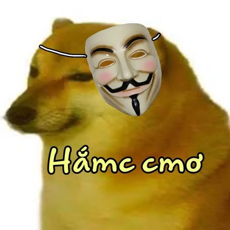 Doge meme làm người xem bật cười