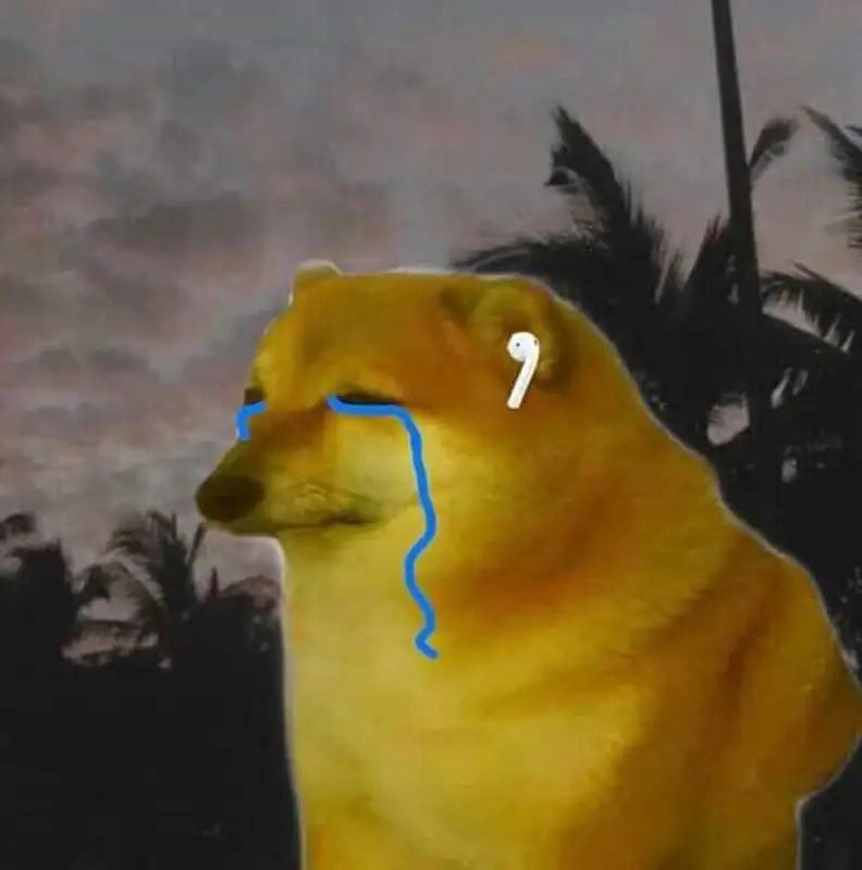 Doge meme biểu cảm hóm hỉnh