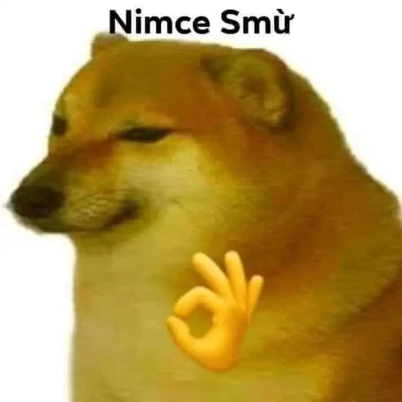 Doge meme với khuôn mặt hồn nhiên