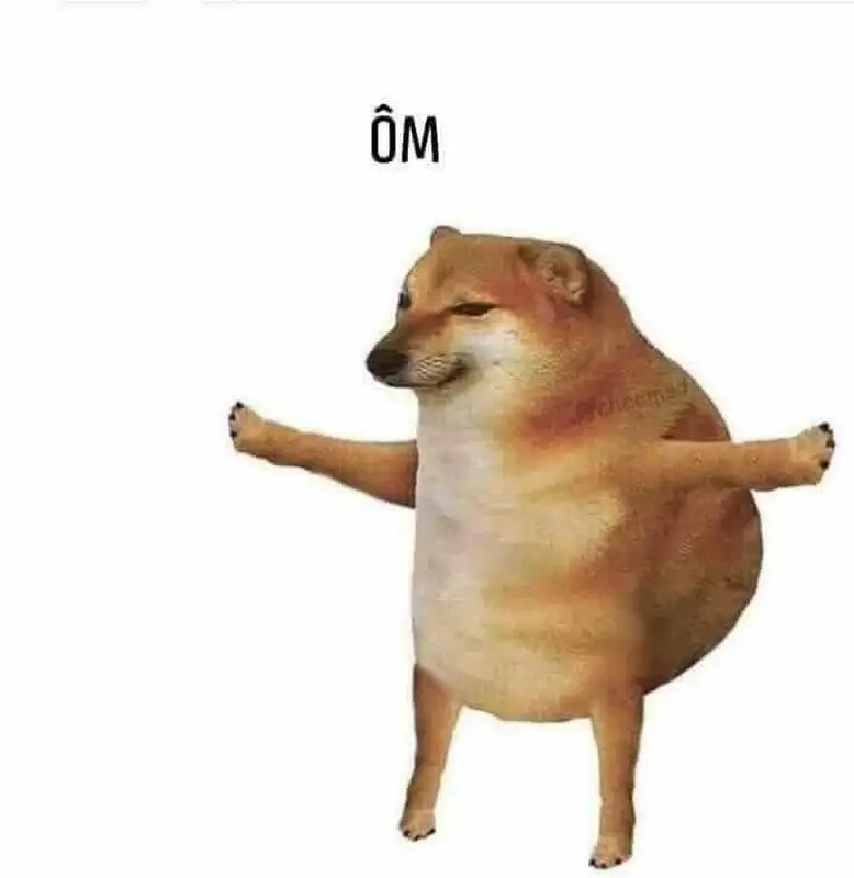 Doge meme dễ thương gây cười