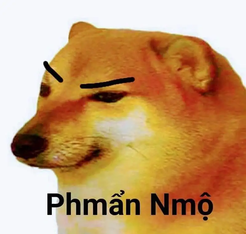 Doge meme vui tươi