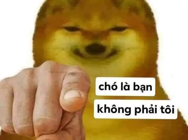 Doge meme với ánh mắt ngạc nhiên