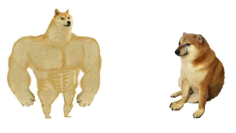 Doge meme nổi bật trong cộng đồng mạng