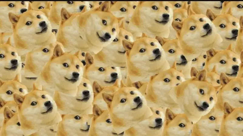 Doge meme mang đến tiếng cười
