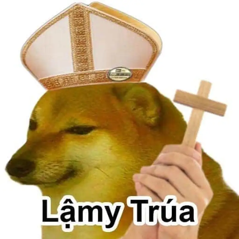 Doge meme hài hước lan truyền