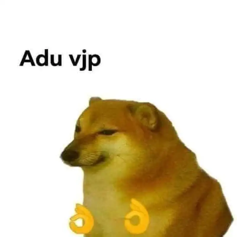 Doge meme tạo tiếng cười bất ngờ
