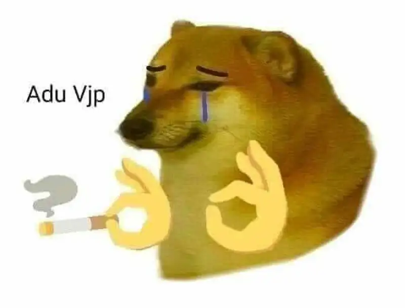 Doge meme biểu cảm độc nhất vô nhị