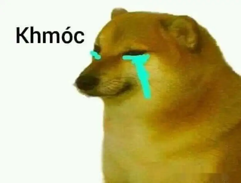Doge meme đáng yêu lan tỏa