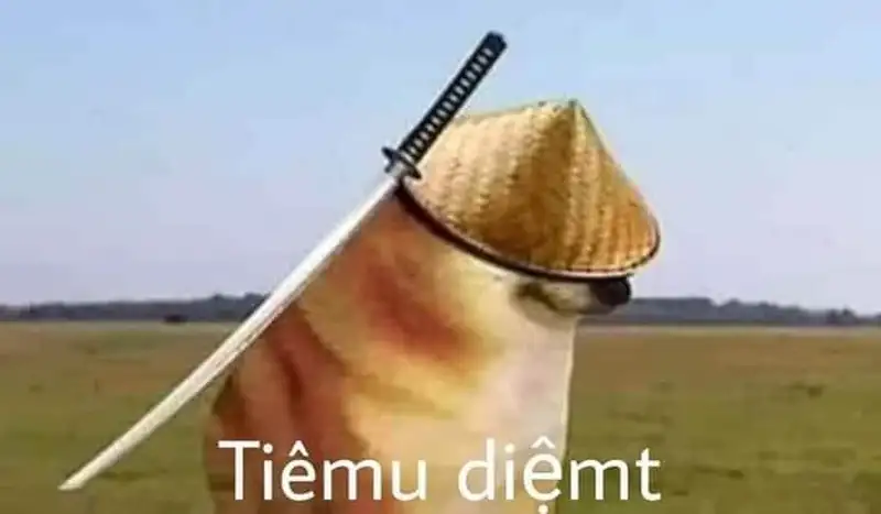 Doge meme nổi bật với nét đáng yêu