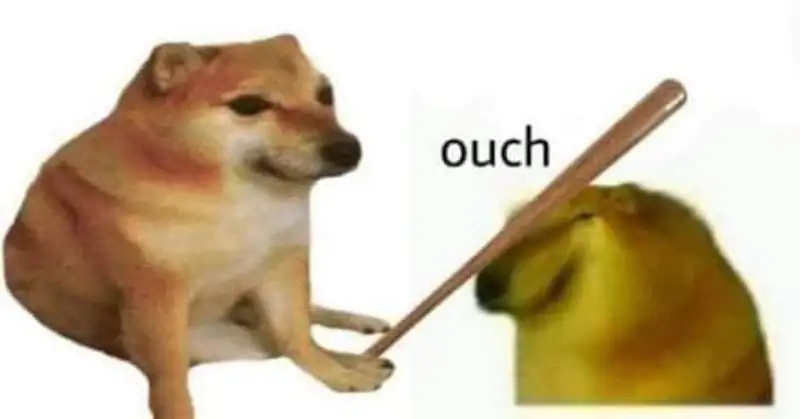 Doge meme hài hước không thể chối từ