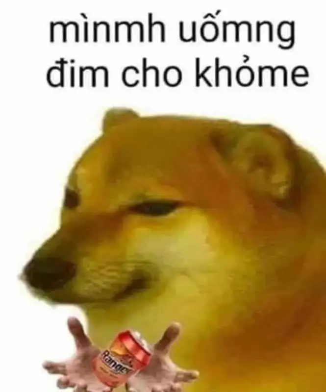 Doge meme tạo niềm vui cho fan