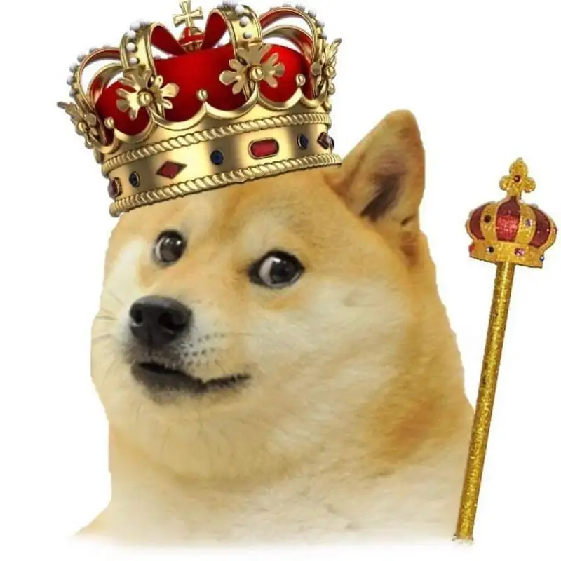 Doge meme gây cười cho người xem