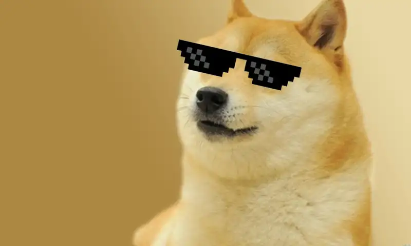 Doge meme nổi tiếng trong thế giới meme