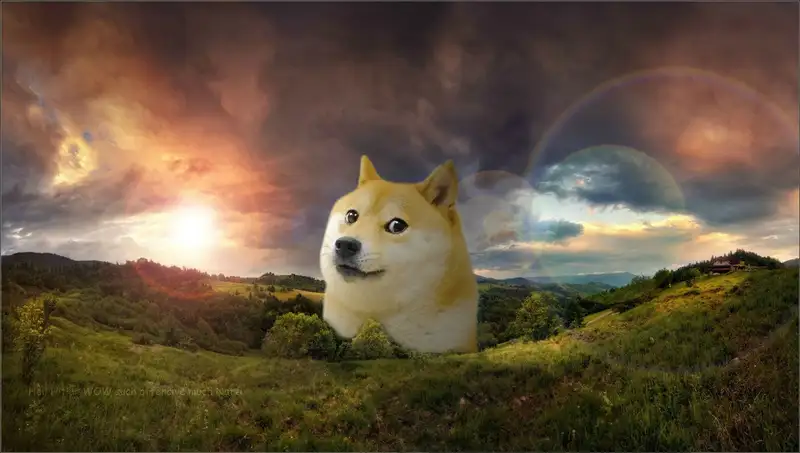 Doge meme hình nền hài hước và thú vị
