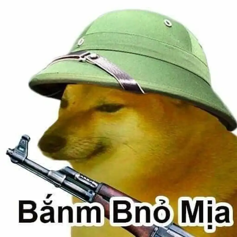 Doge meme thú vị