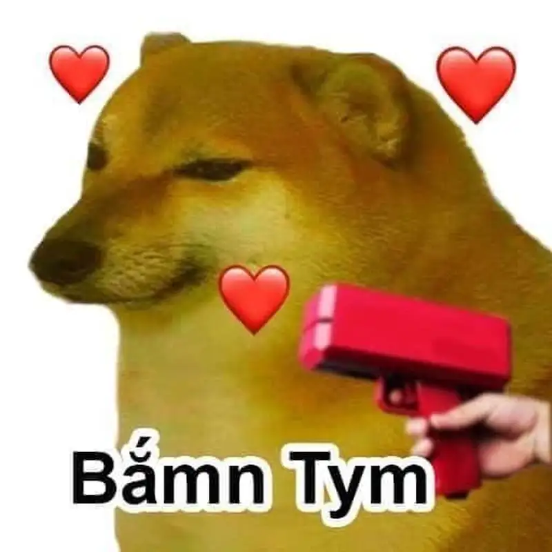 Doge meme cười hài hước