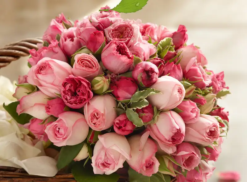 Ảnh hoa tặng bạn gái mới quen mang thông điệp yêu thương Ảnh hoa tặng bạn gái mới quen mang thông điệp yêu thương