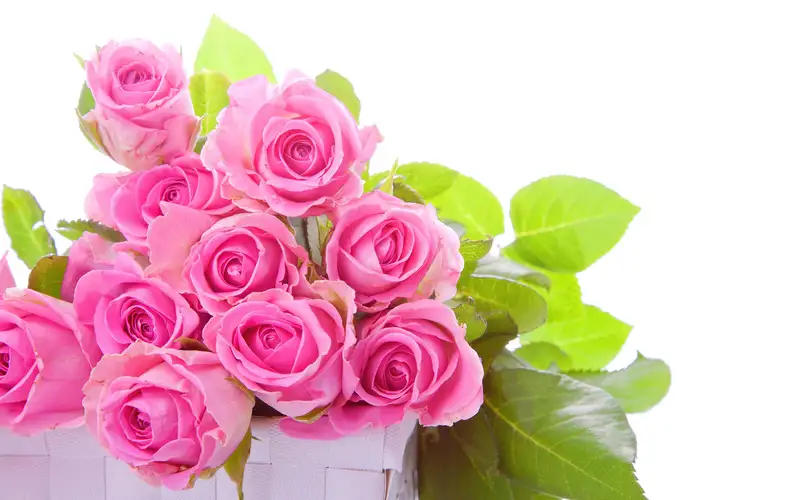 Lựa chọn hoa tặng bạn gái mới quen giúp bạn ghi điểm Lựa chọn hoa tặng bạn gái mới quen giúp bạn ghi điểm