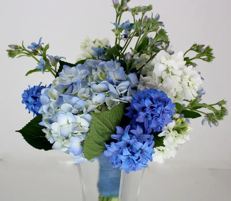 Gợi ý chọn hoa tặng bạn gái mới quen đầy ý nghĩa Gợi ý chọn hoa tặng bạn gái mới quen đầy ý nghĩa