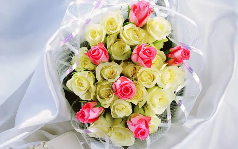 Hoa tặng bạn gái với màu sắc lãng mạn Hoa tặng bạn gái với màu sắc lãng mạn