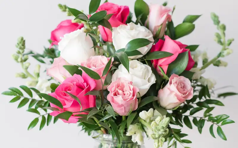 Tinh tế với ảnh hoa tặng bạn gái mới quen dịu dàngn gái mới quen 8 Tinh tế với ảnh hoa tặng bạn gái mới quen dịu dàngn gái mới quen 8
