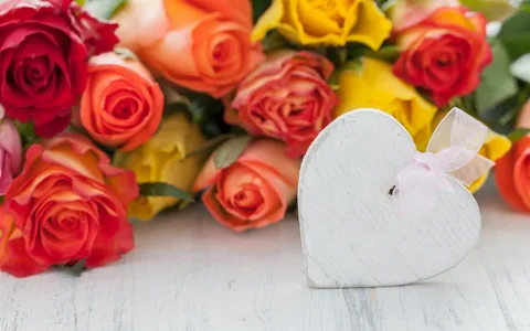 Hoa tặng 14/2 rực rỡ, làm sáng bừng ngày lễ tình nhân Hoa tặng 14/2 rực rỡ, làm sáng bừng ngày lễ tình nhân