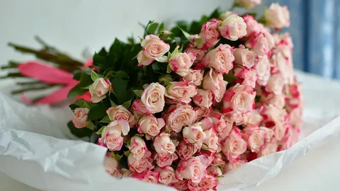 Hoa tặng 14/2 là món quà tặng ý nghĩa và đầy cảm xúc Hoa tặng 14/2 là món quà tặng ý nghĩa và đầy cảm xúc