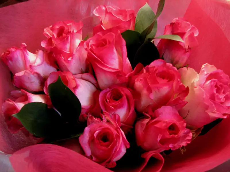 Những mẫu hoa tặng 14/2 đẹp cho ngày lễ Valentine Những mẫu hoa tặng 14/2 đẹp cho ngày lễ Valentine