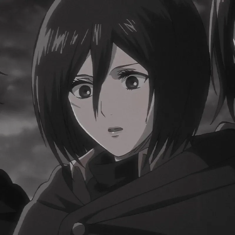 Vẻ đẹp tựa như huyền thoại của Mikasa Ackerman