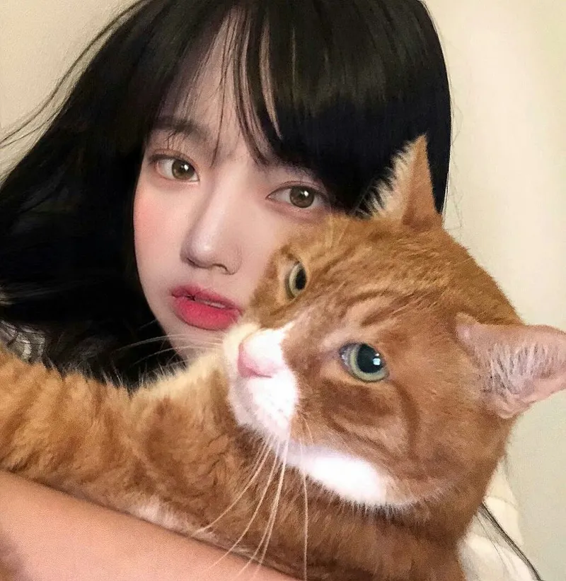 Biểu tượng của sự hoàn hảo qua avatar gái tinh tế
